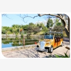 浙江電動觀光車、杭州電動老爺車、江蘇婚慶專用車廠家直銷